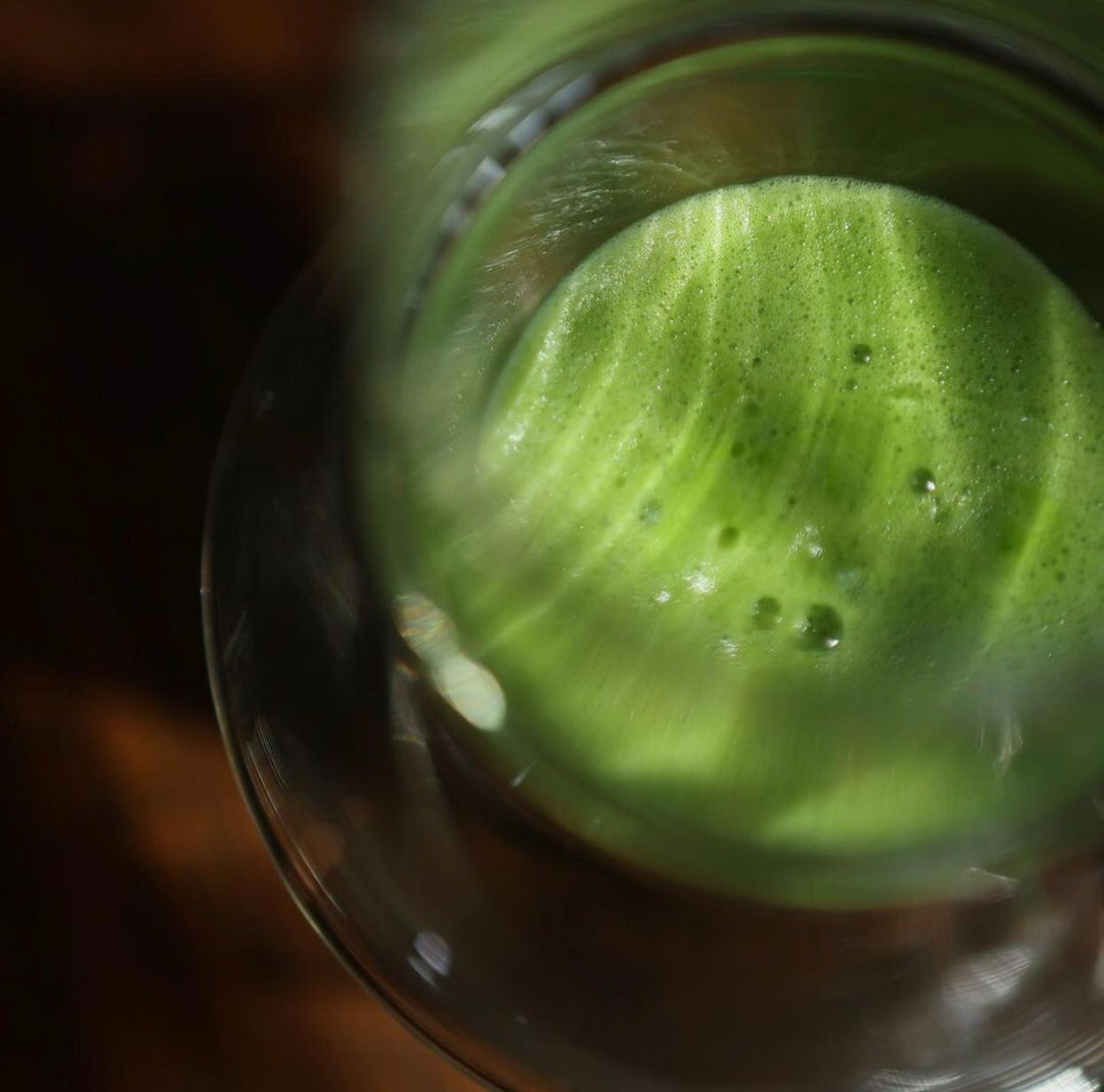 matcha-powder-wholesale bulk matcha powder