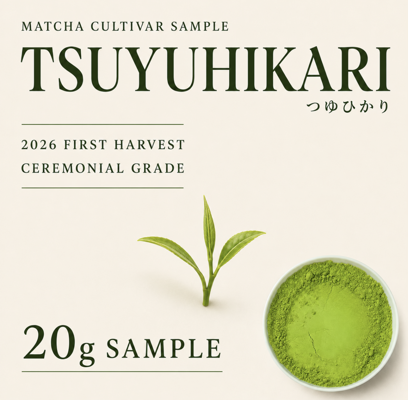 AKI MATCHA Bulk- Tsuyuhikari Matcha - Origin: Shizuoka | First Harvest Matcha | Stone Milled - Ceremonial Grade Matcha - Single cultivar: Tsuyuhikari - Size 1kg (500 teaspoons = 500 drinks)