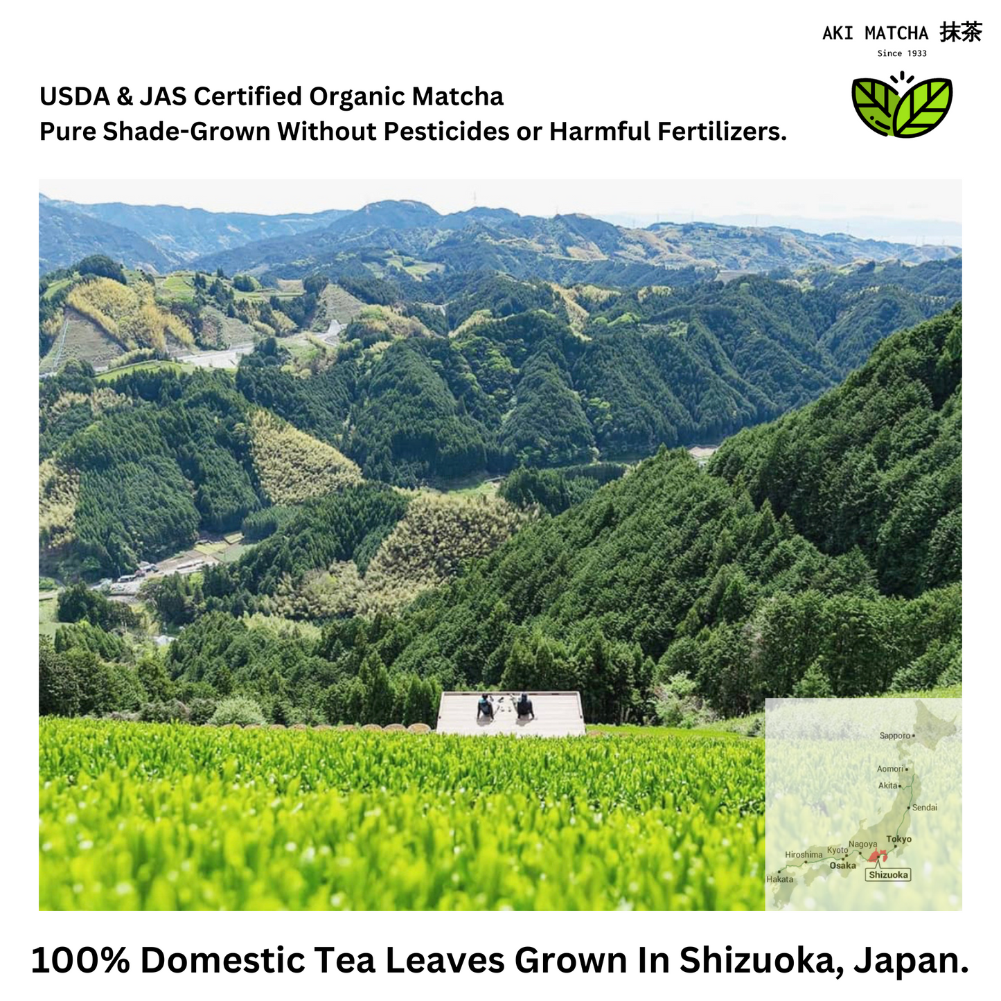 AKI MATCHA - Superior Matcha | Organic Japanese Matcha Tea Ceremonial Grade | First Harvest - Hand-picked tea | Size: 30g (15 teaspoons = 15 drinks)