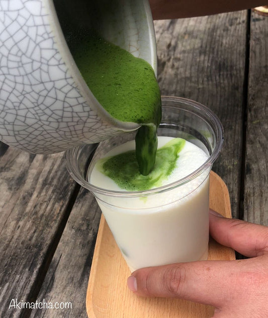 Matcha Latte Powder: Is Matcha Latte Powder Good for You?