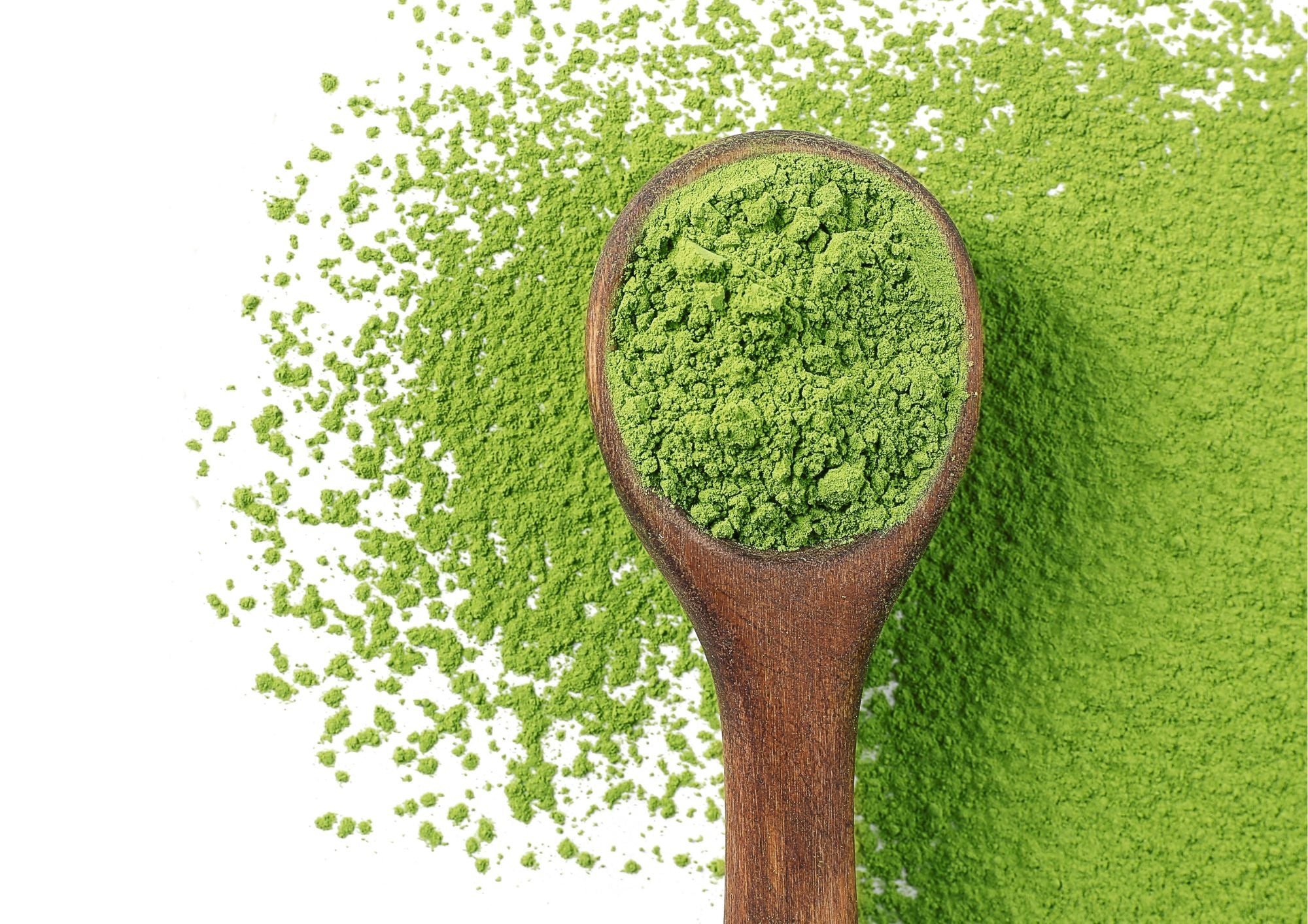 Wholesale Matcha Powder: The Ultimate Guide for Businesses – AKI MATCHA