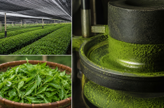 how matcha is produced by aki matcha