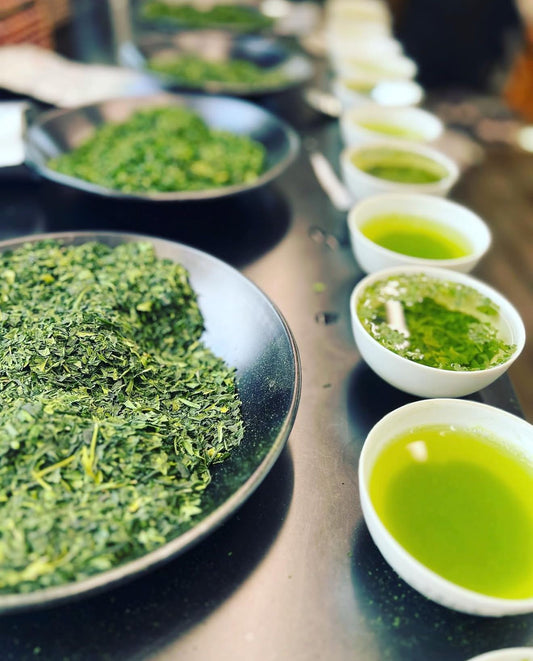 bulk-matcha-tea-testing