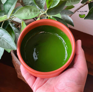 Exploring Matcha's Power: Packed with Antioxidants!
