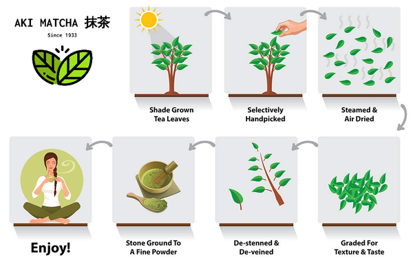 Matcha Power Process Buy Wholesale Matcha Powder – AKI MATCHA