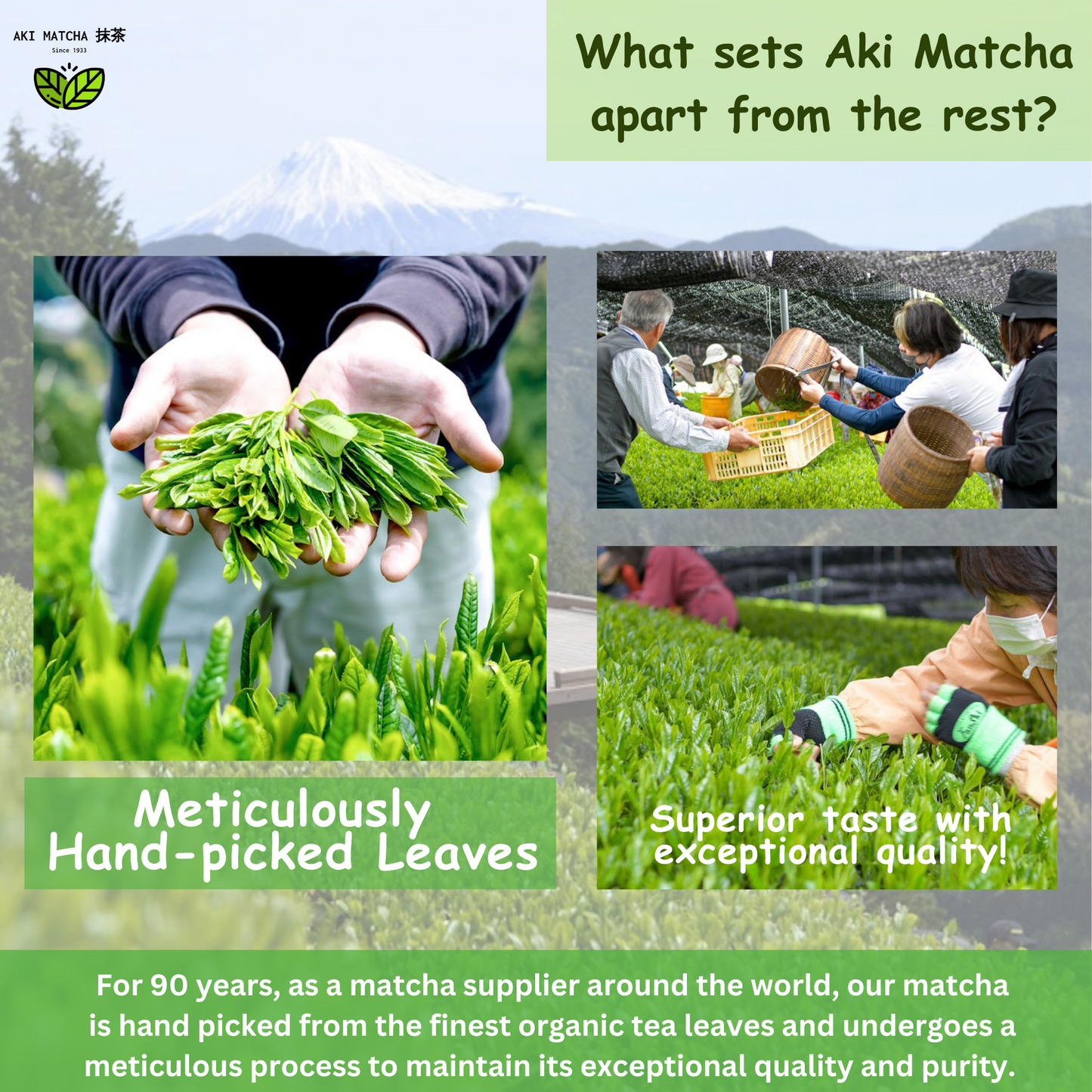 AKI MATCHA - Organic Matcha Green Tea Powder | USDA Certified Organic Matcha | Spring Harvest Ceremonial Grade Matcha - EGCG 40mg/1g Matcha | Size 50g (25 teaspoons = 25 drinks)