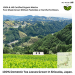 Load image into Gallery viewer, AKI MATCHA - Organic Matcha Green Tea Powder | Made in Japan | USDA Certified Organic | Spring Harvest Ceremonial Grade 50g (25 servings)
