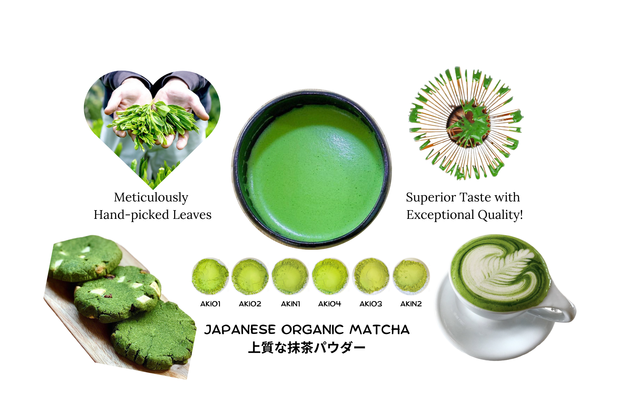 Buy Wholesale Matcha Powder – AKI MATCHA